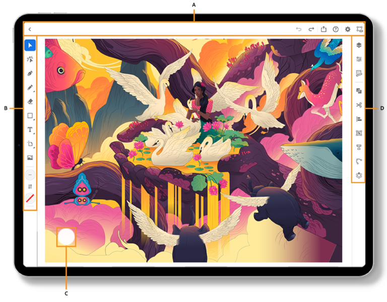 Adobe Illustrator Design App For Ipad 768x600 