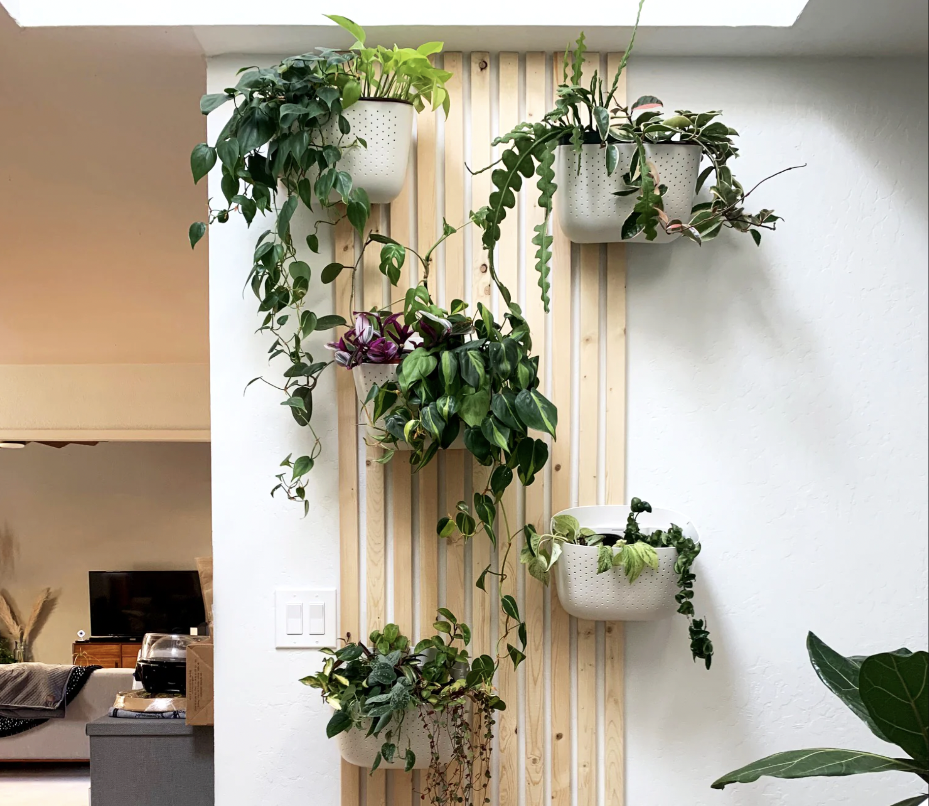 41 Unique Indoor Plant Wall Ideas For Big And Small Spaces