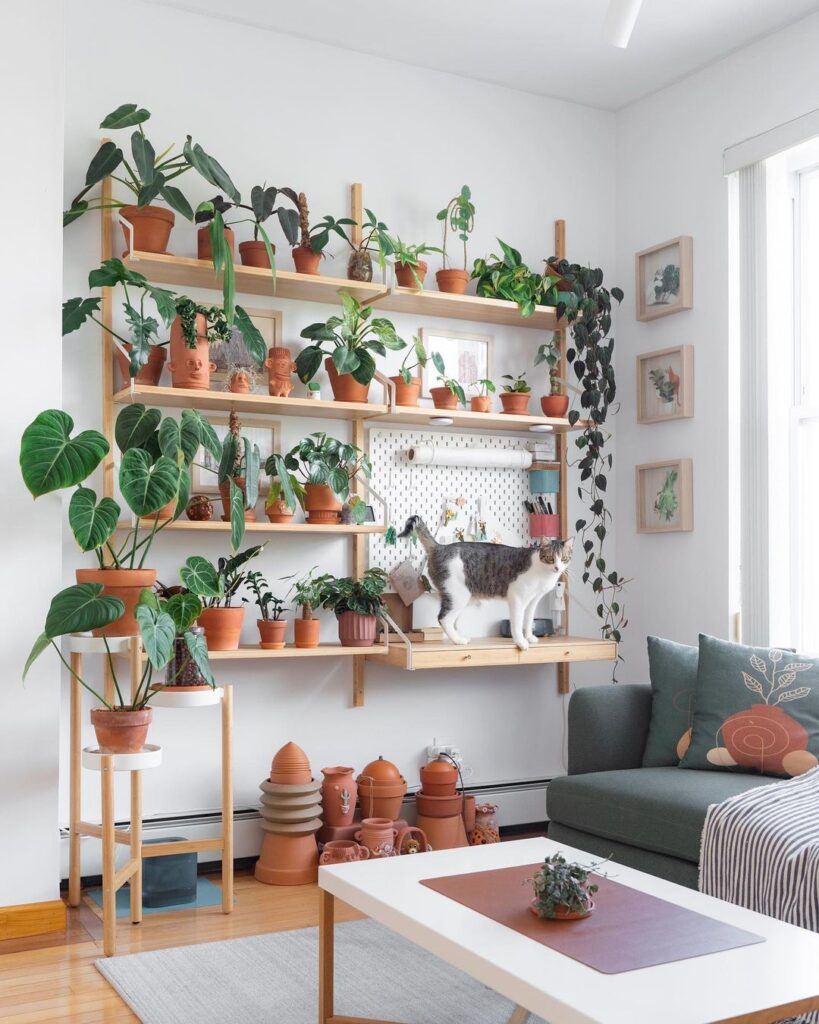 41 Unique Indoor Plant Wall Ideas For Big And Small Spaces