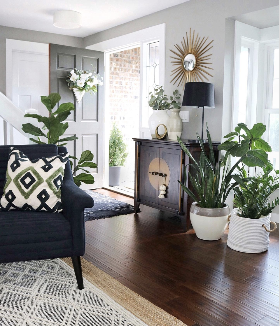 25 Best Front Door Entryway Living Room Combo Ideas
