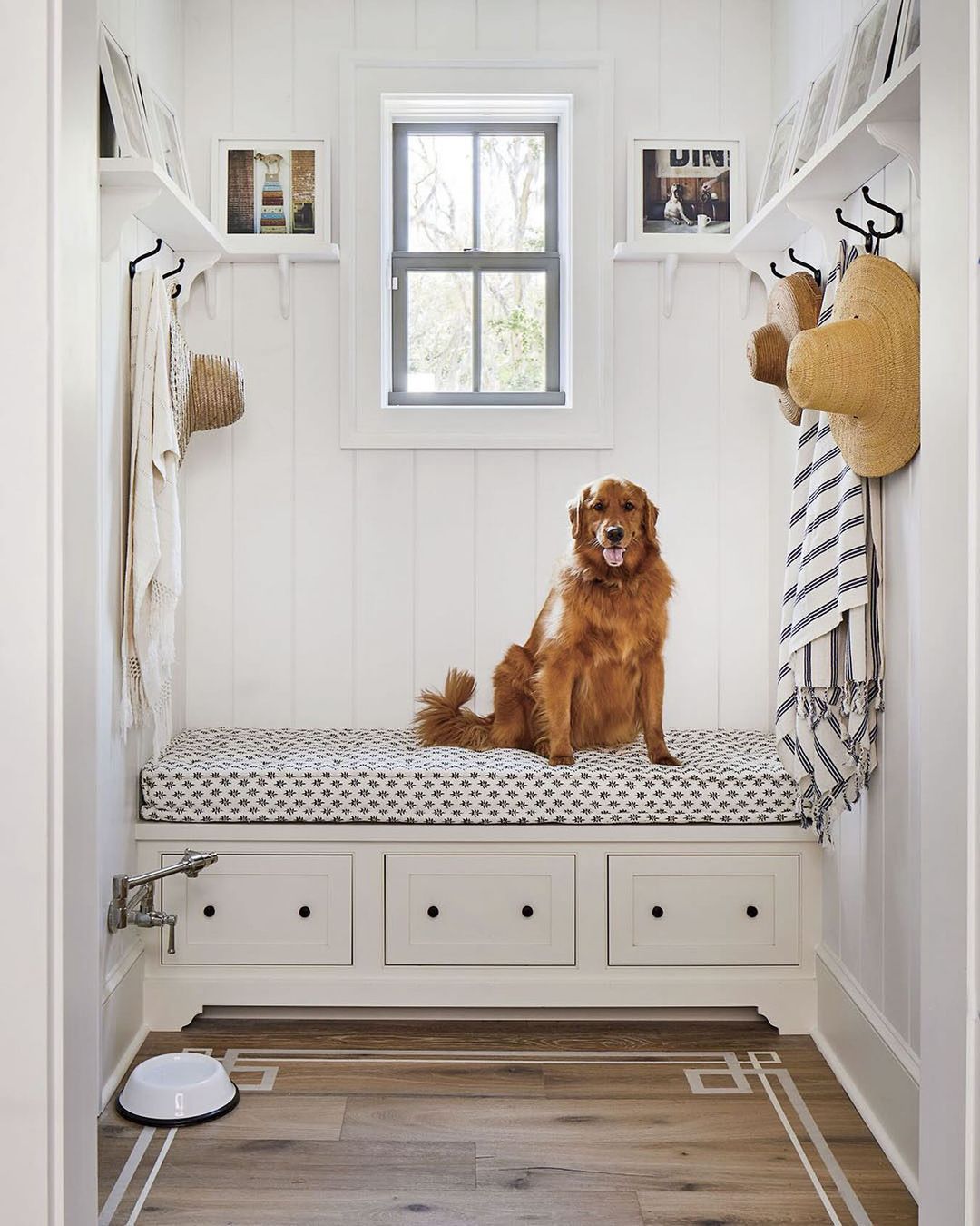 Pet-Friendly Perch: Mudroom with Canine Comfort