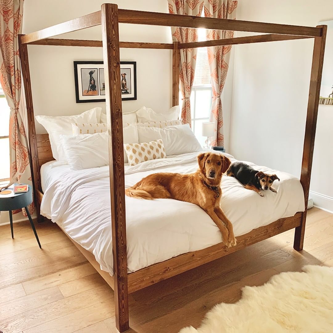 Cozy Four Poster Bed with a Pet-Friendly Touch