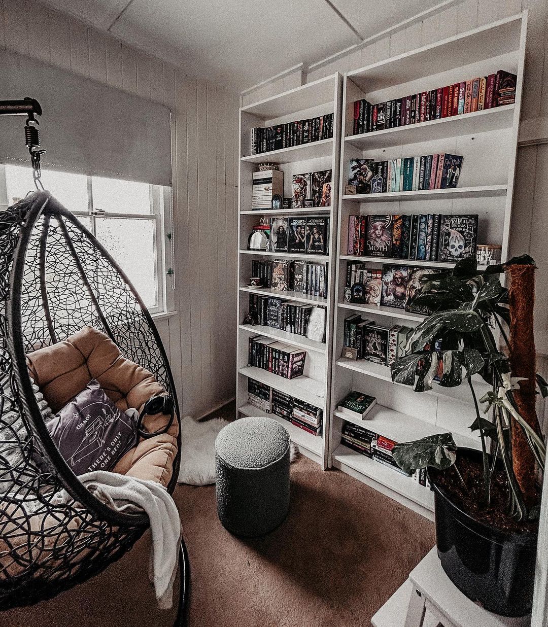 Cozy Reading Nook with Hanging Chair and Bookshelves