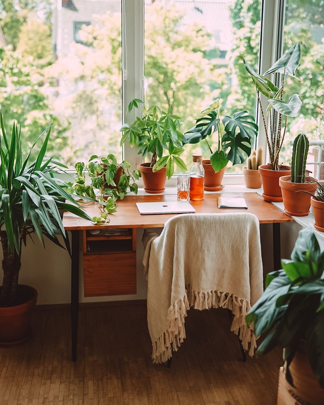 Greenery-Filled Workspace Corner