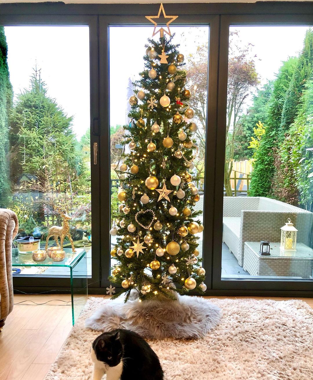 Create a Festive View with a Slim Christmas Tree by the Window