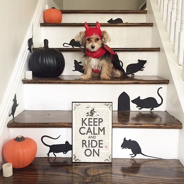 Playful Halloween Staircase with Cute Devil Dog and Rat Cutouts