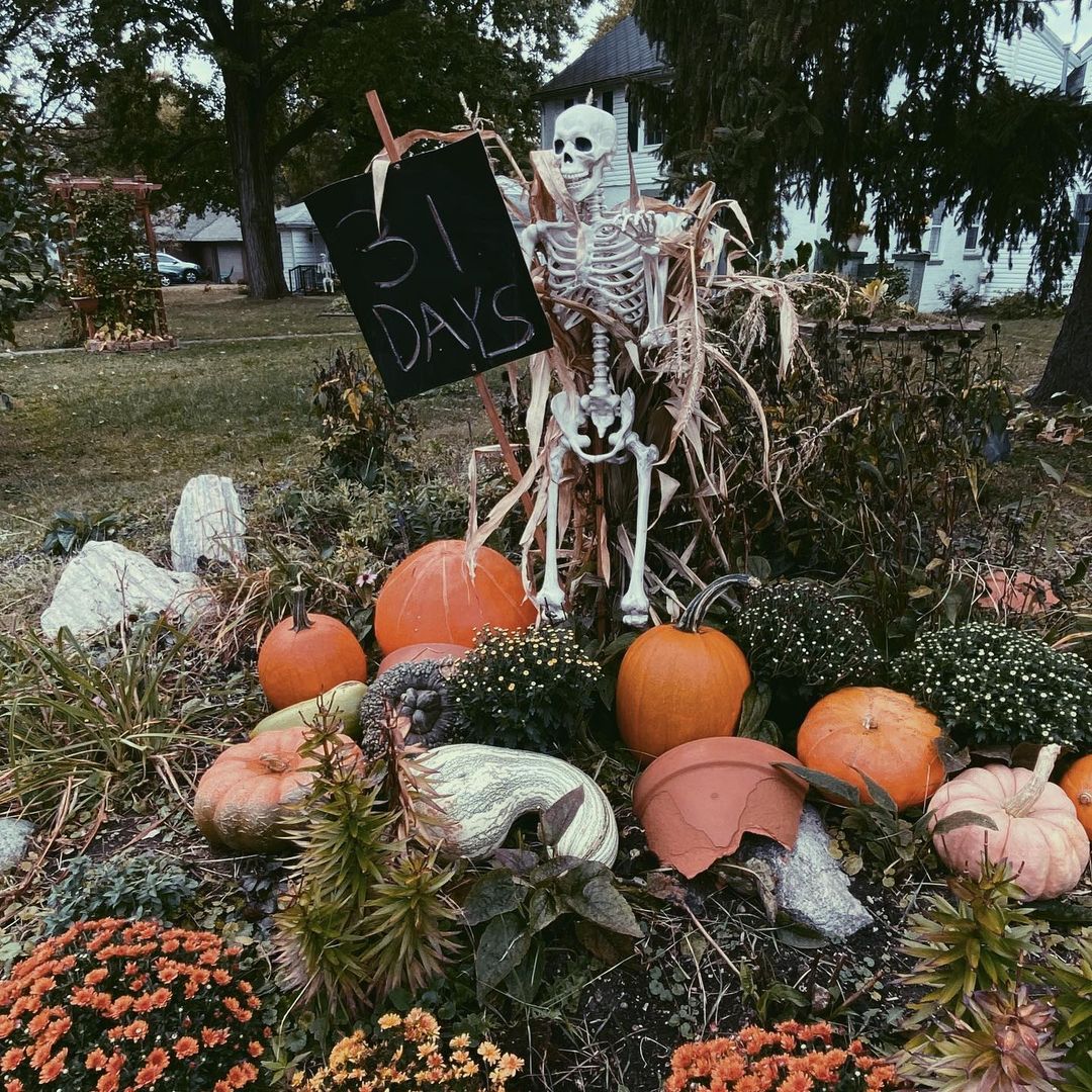 Countdown to Halloween: Skeleton Garden Display with Pumpkins