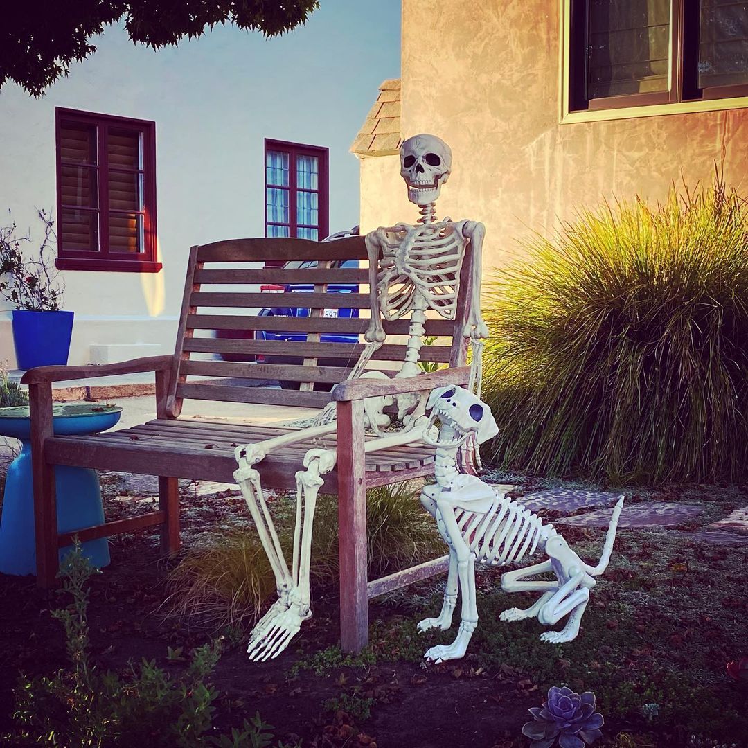 Skeleton Companion: A Hauntingly Calm Porch Display