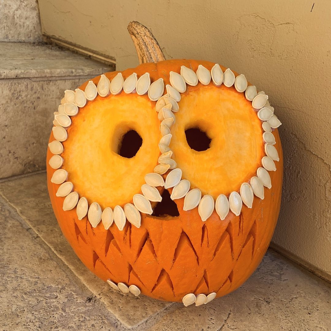 Seed-Embellished Owl Pumpkin for a Crafty Halloween Decor