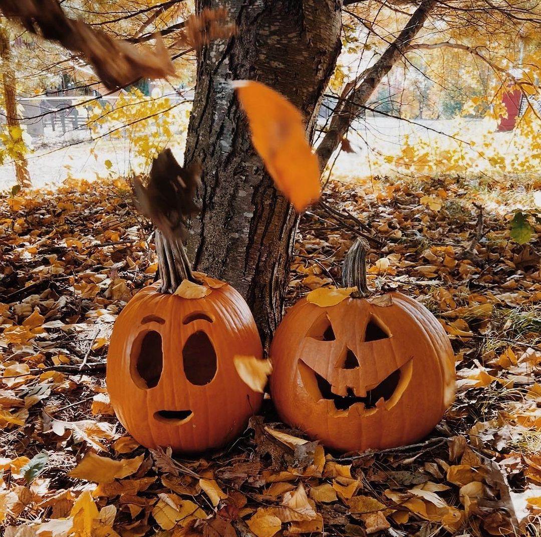 Autumn-Themed Pumpkins with Playful Faces for a Cozy Outdoor Display