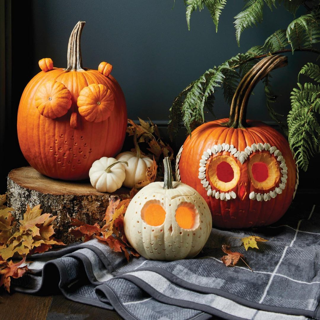 Owl-Inspired Pumpkin Carvings for a Nature-Themed Halloween