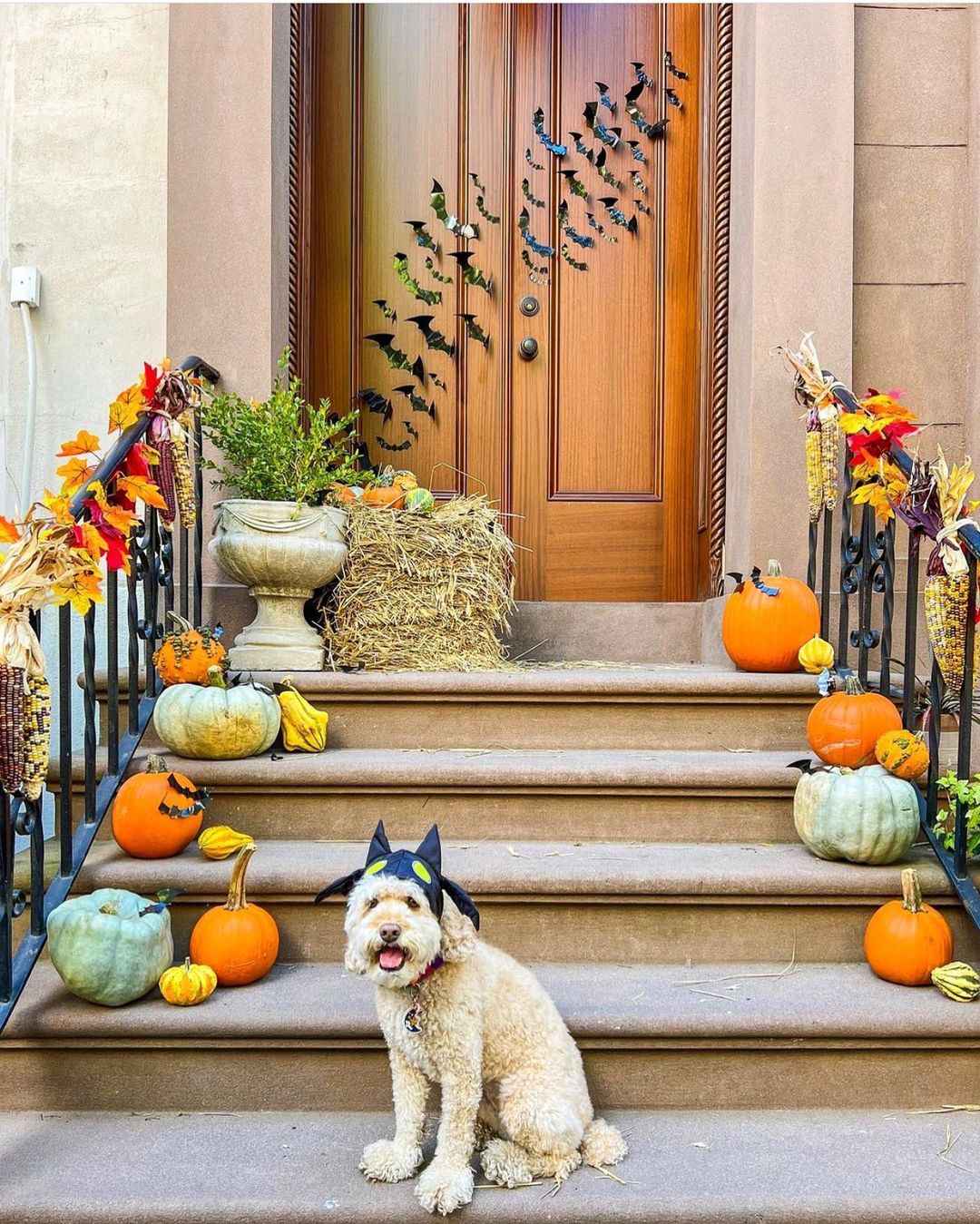 Playful Halloween Porch with Pumpkins and Bat Decor