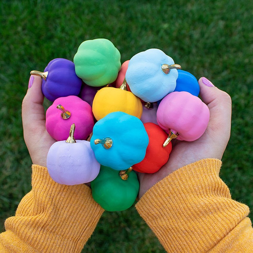 Bright and Bold Solid-Colored Mini Pumpkins