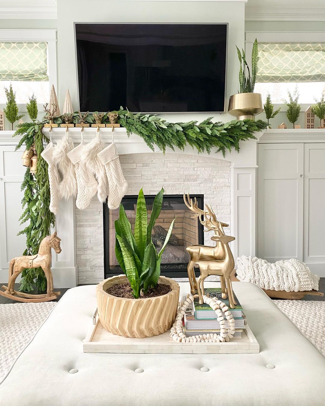 Modern Cozy and Greenery