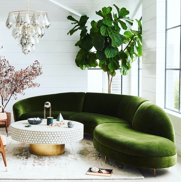 Luxe Green Oasis