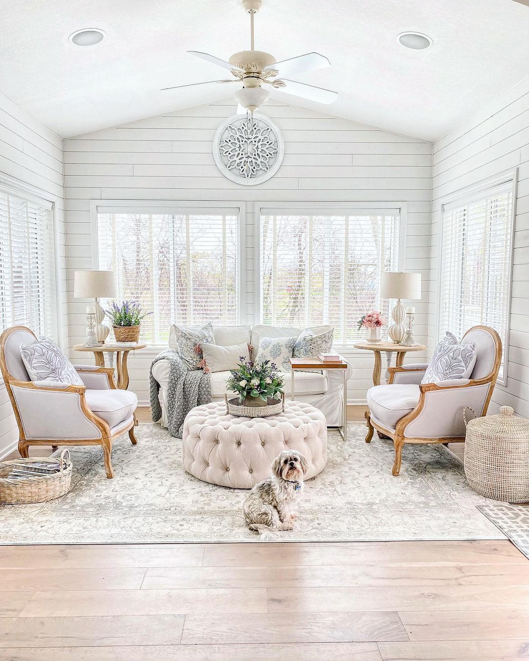 Soft and Elegant Sunroom Design Ideas