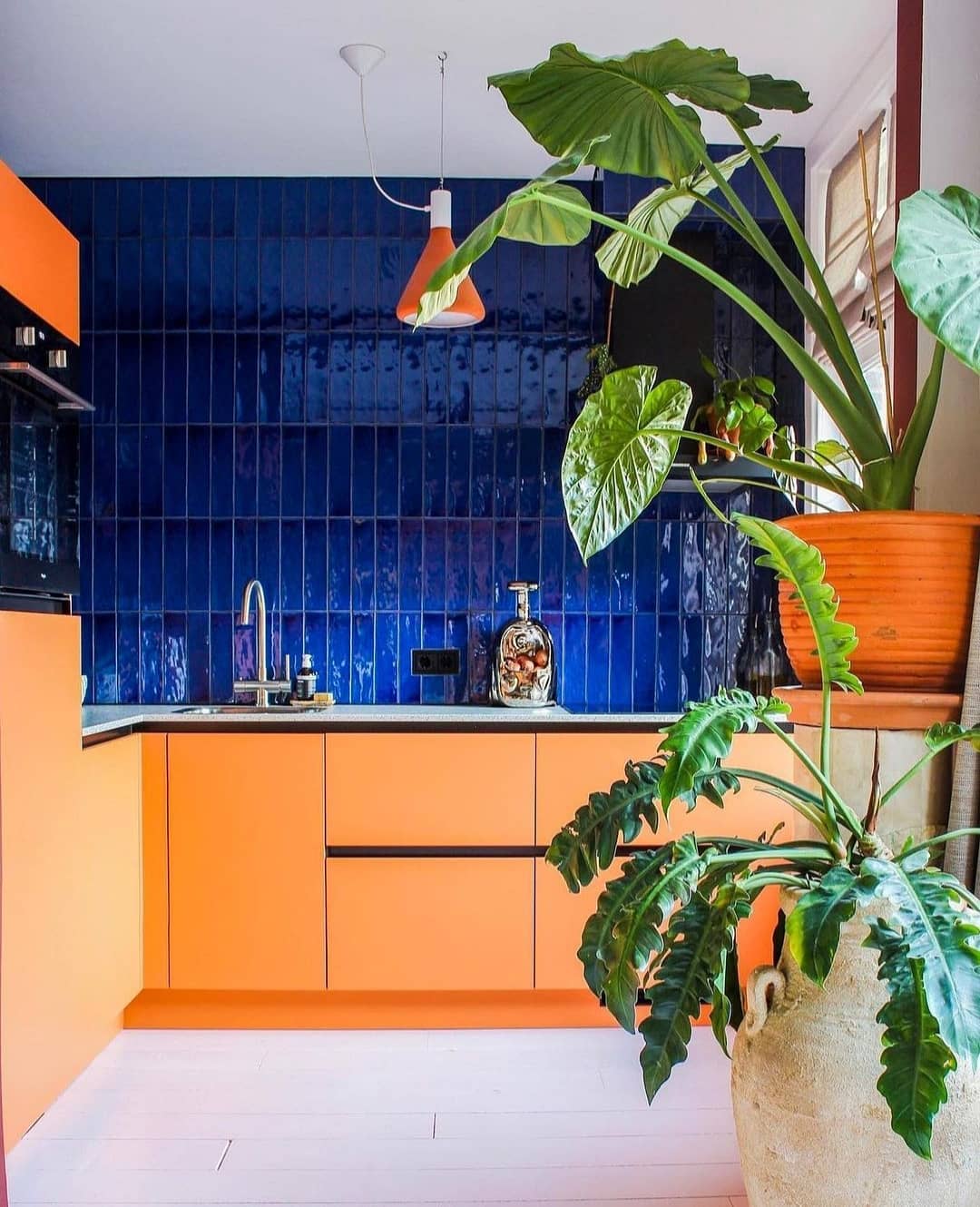 Vibrant Orange And Blue Contrast Elegance