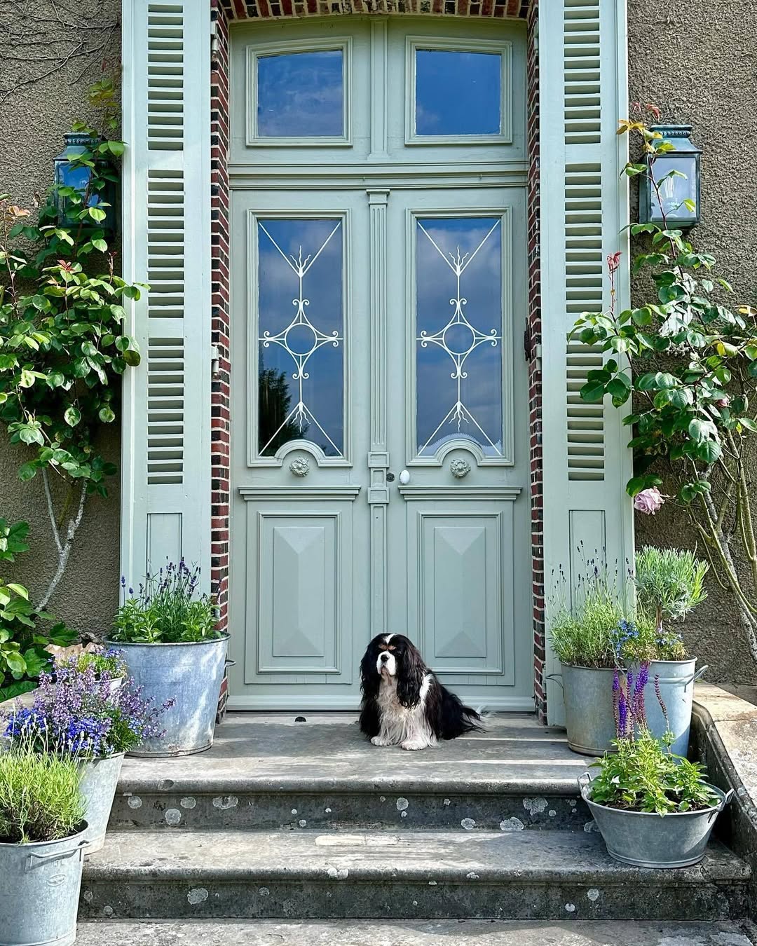 The Best Colors For Your Front Door? An Ultimate Guide