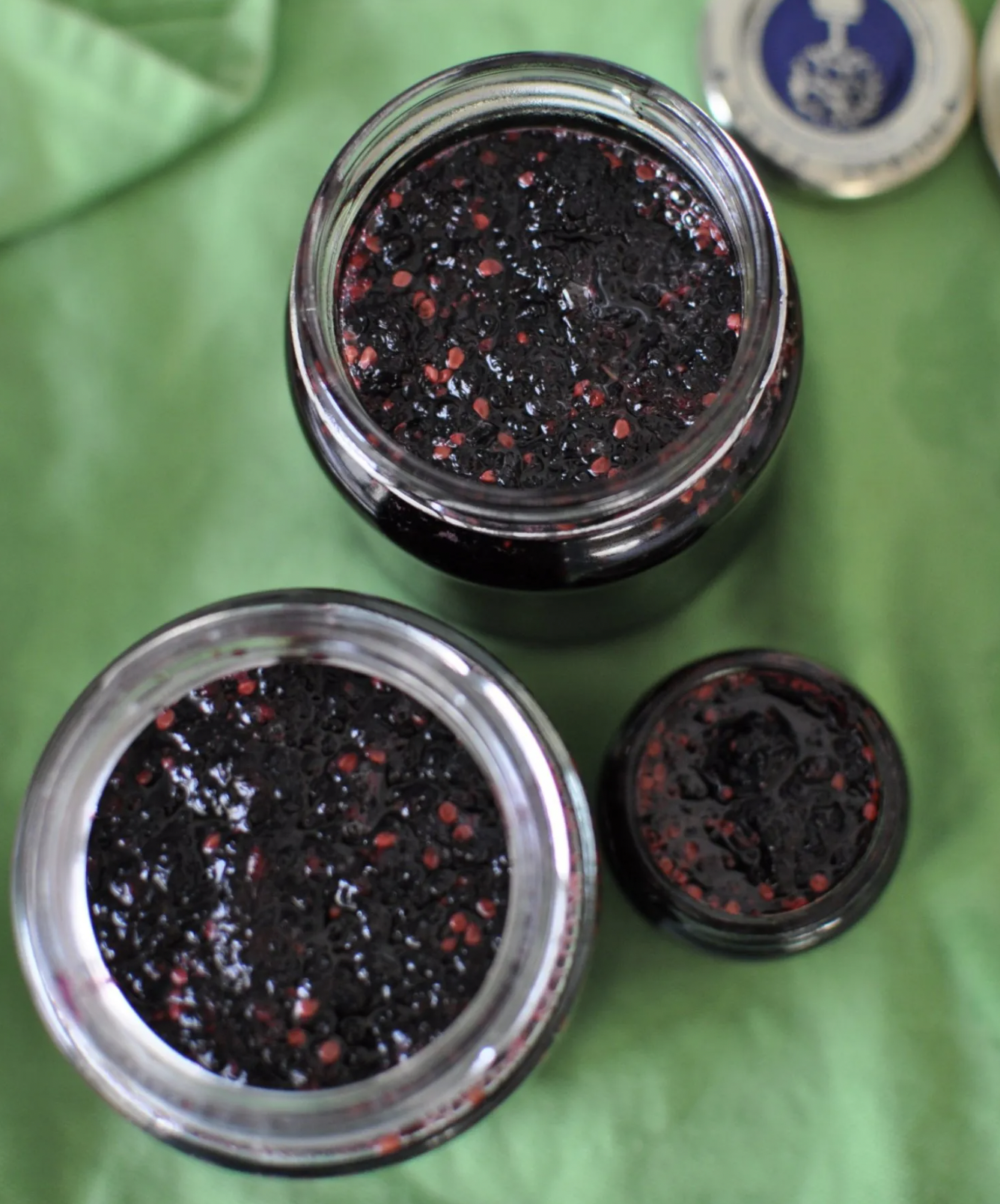 Homemade Mulberry Jam Delight