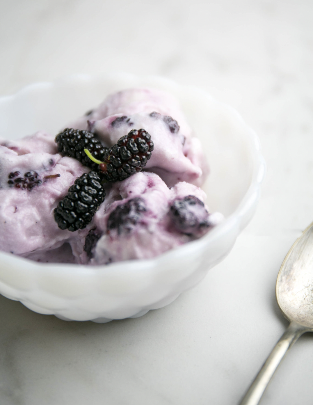 Make A Mulberry Coconut Ice Cream