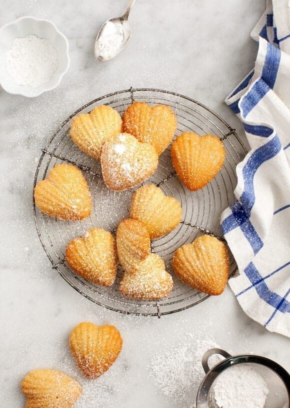 Meyer Lemon Madeleines