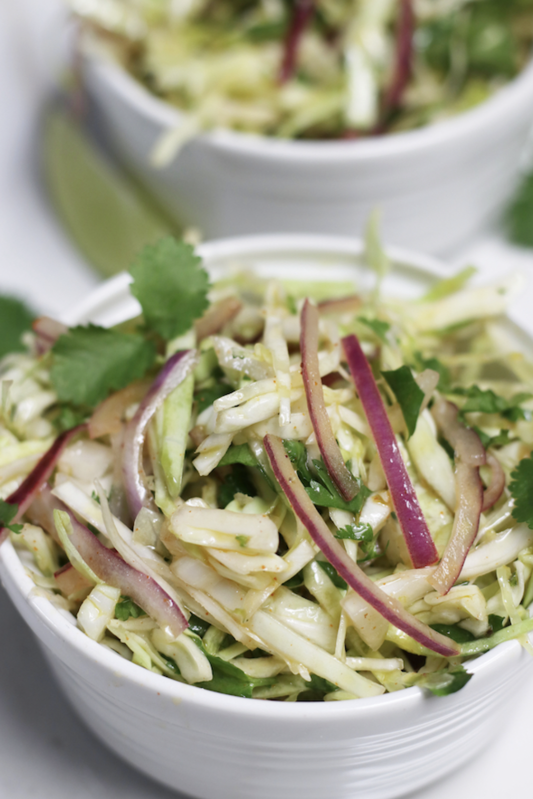 Red Onion Coleslaw