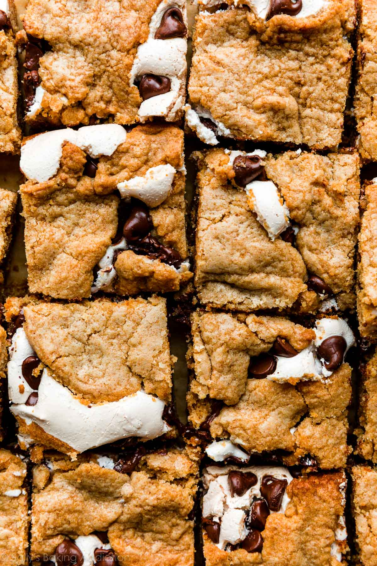 S’mores Cookie Bar