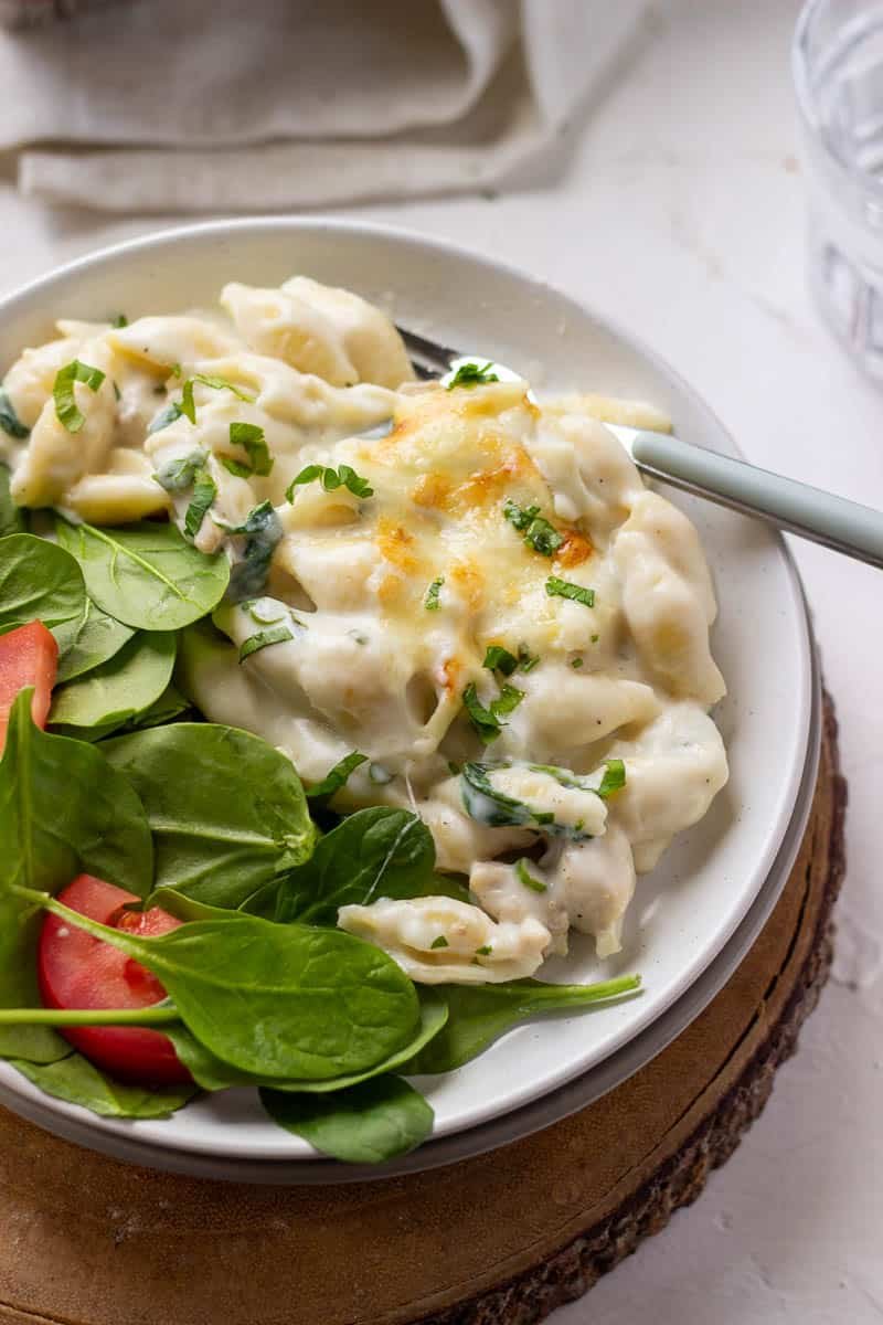 White Sauce Chicken Pasta Delight