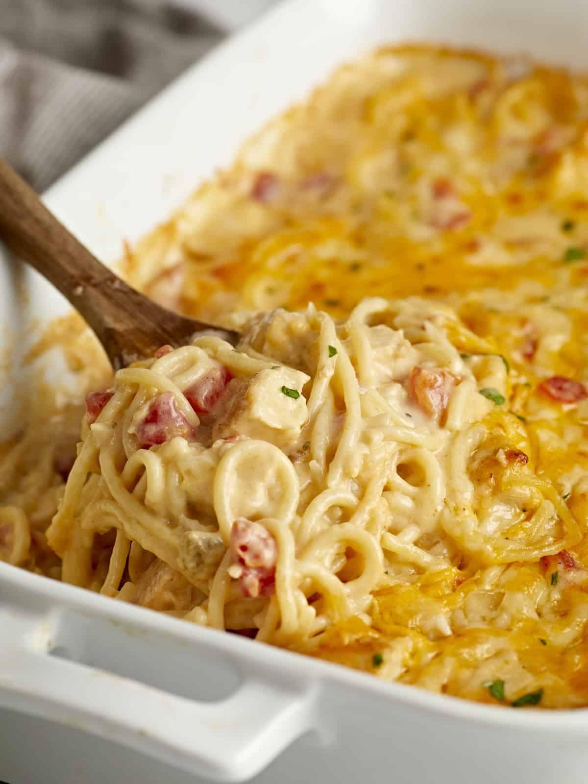 Classic Chicken Spaghetti Comfort