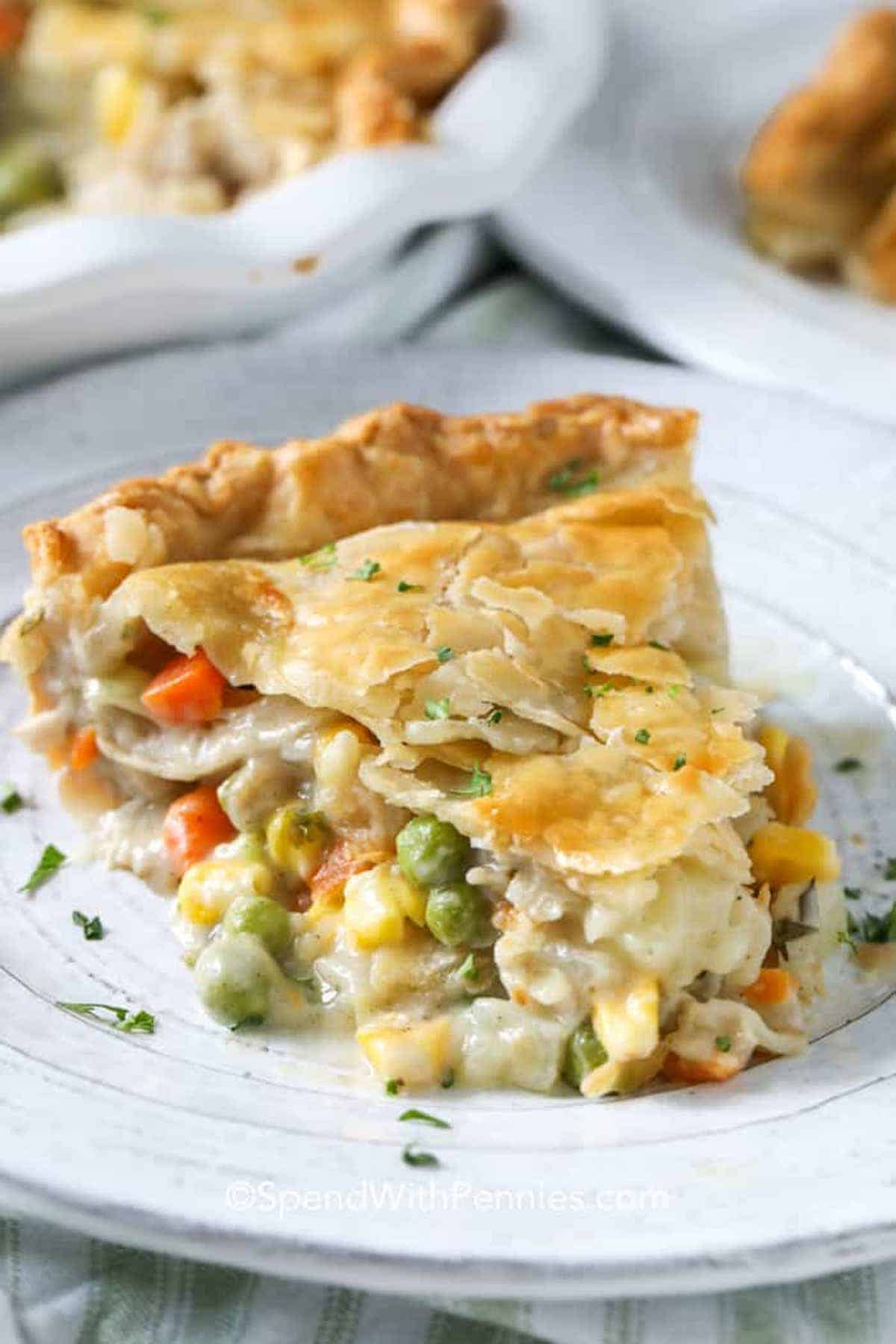 Turkey Potpie