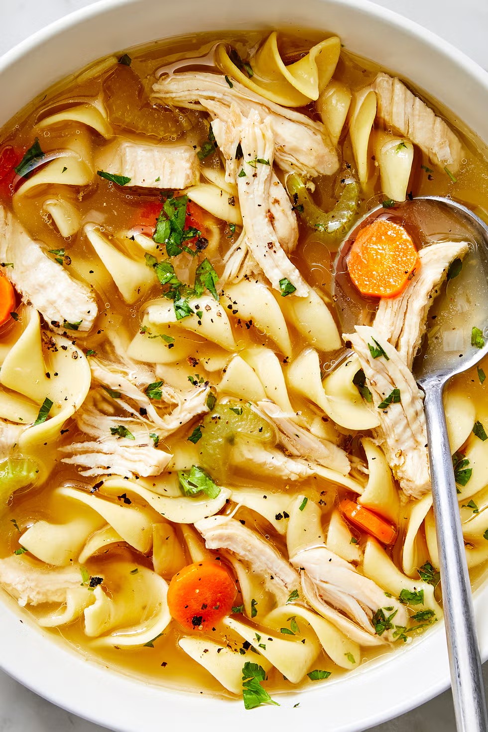 Chicken Noodle Soup