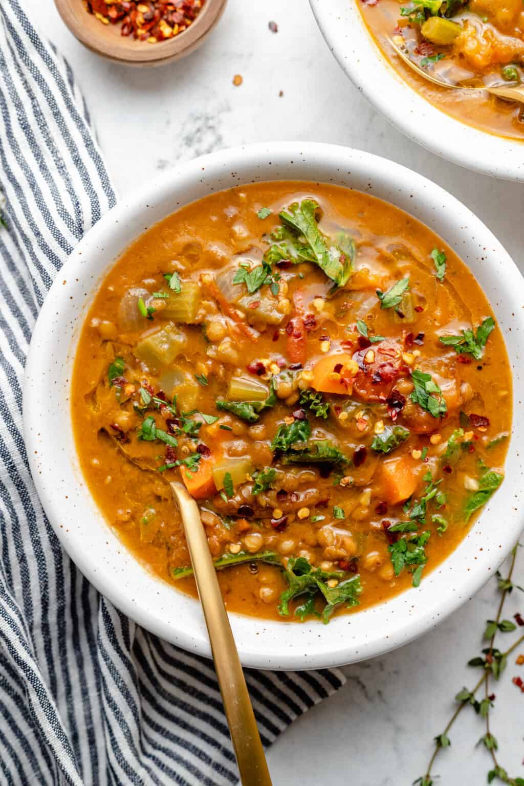 Indian Spiced Lentil Soup - Vegetarian Soup Recipe