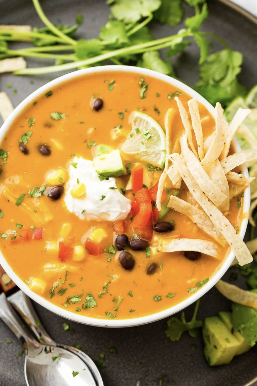 Best-Ever Homemade Chicken Tortilla Soup