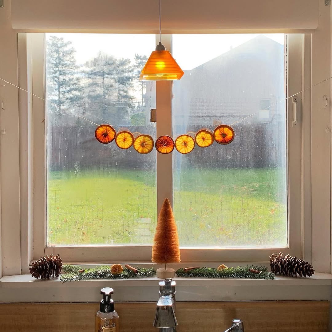 Sunlit Citrus For A Cozy Window