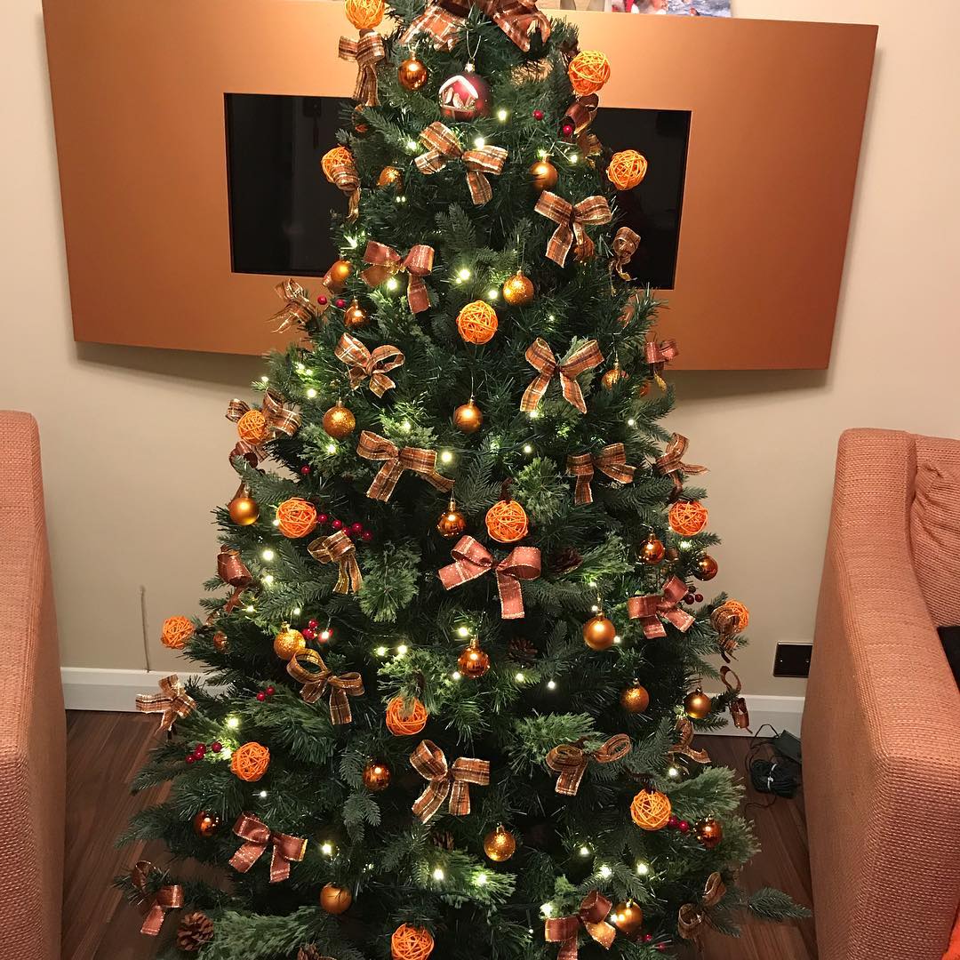 Cozy Cabin Charm With Orange Bows