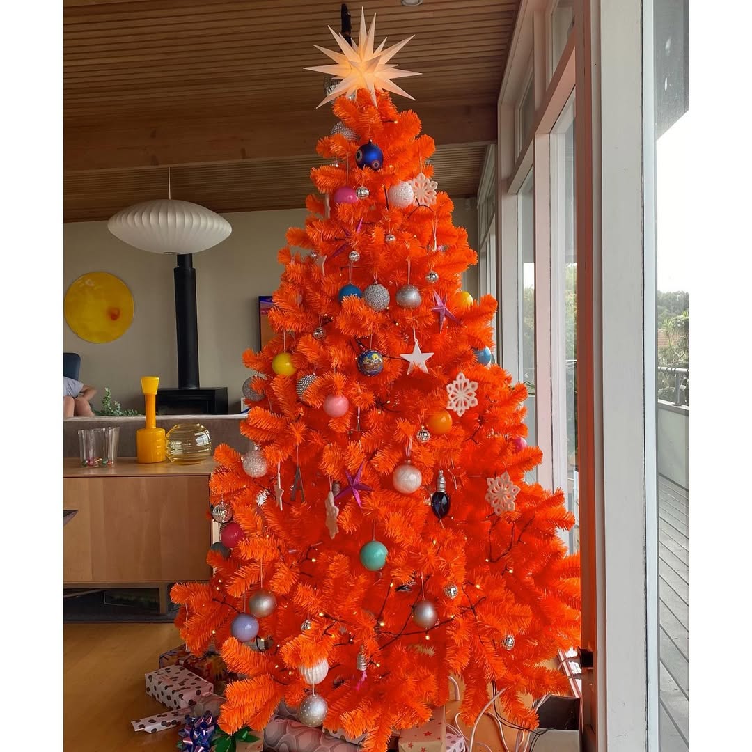 Bold Brilliance With Modern Orange Flair