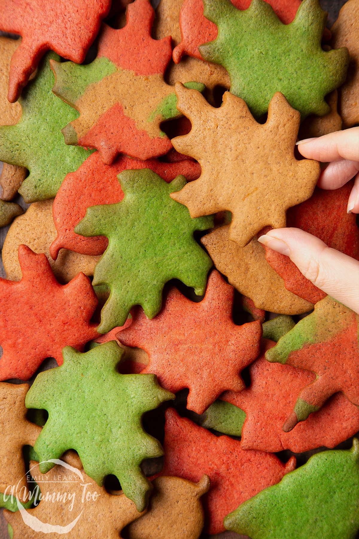 Autumn Cookies: A Festive Treat